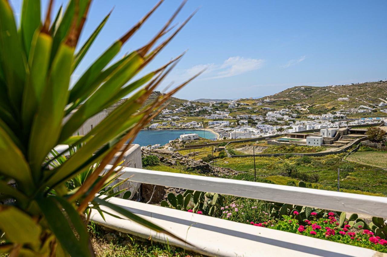 9 Muses Villas Mykonos Ornos  Extérieur photo